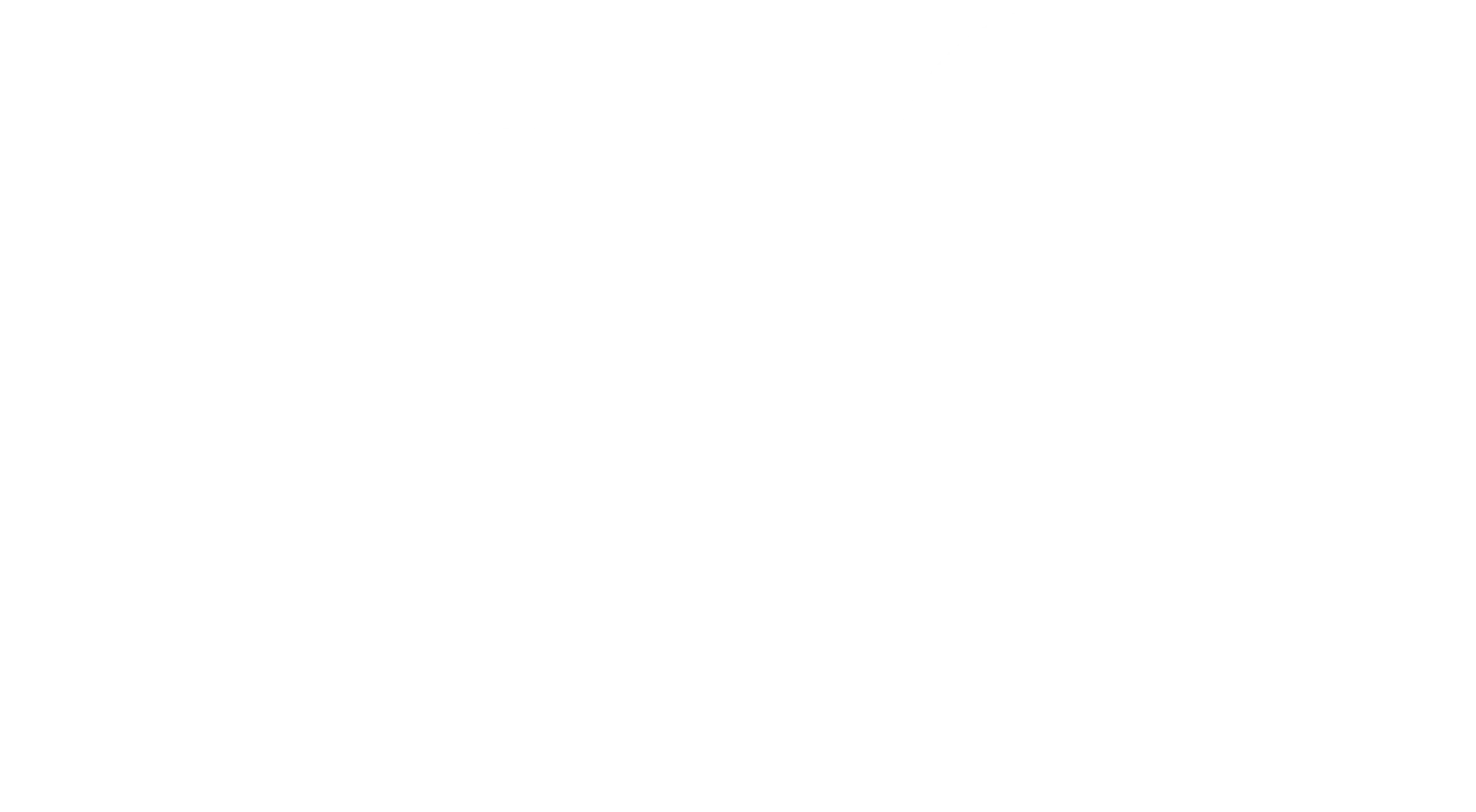 Logo IDS Serrurier